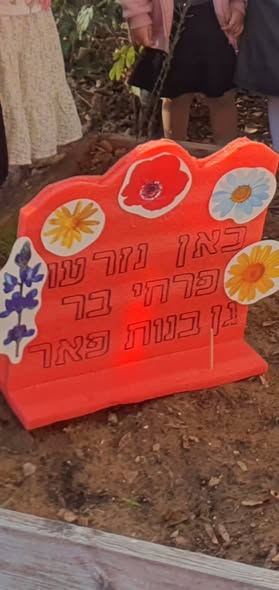 עיריית חולון
