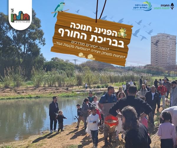 עיריית חולון