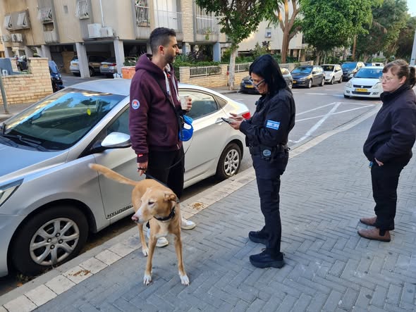 עיריית חולון