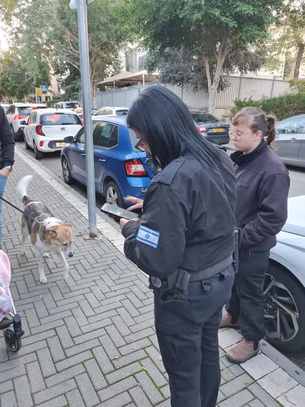 עיריית חולון