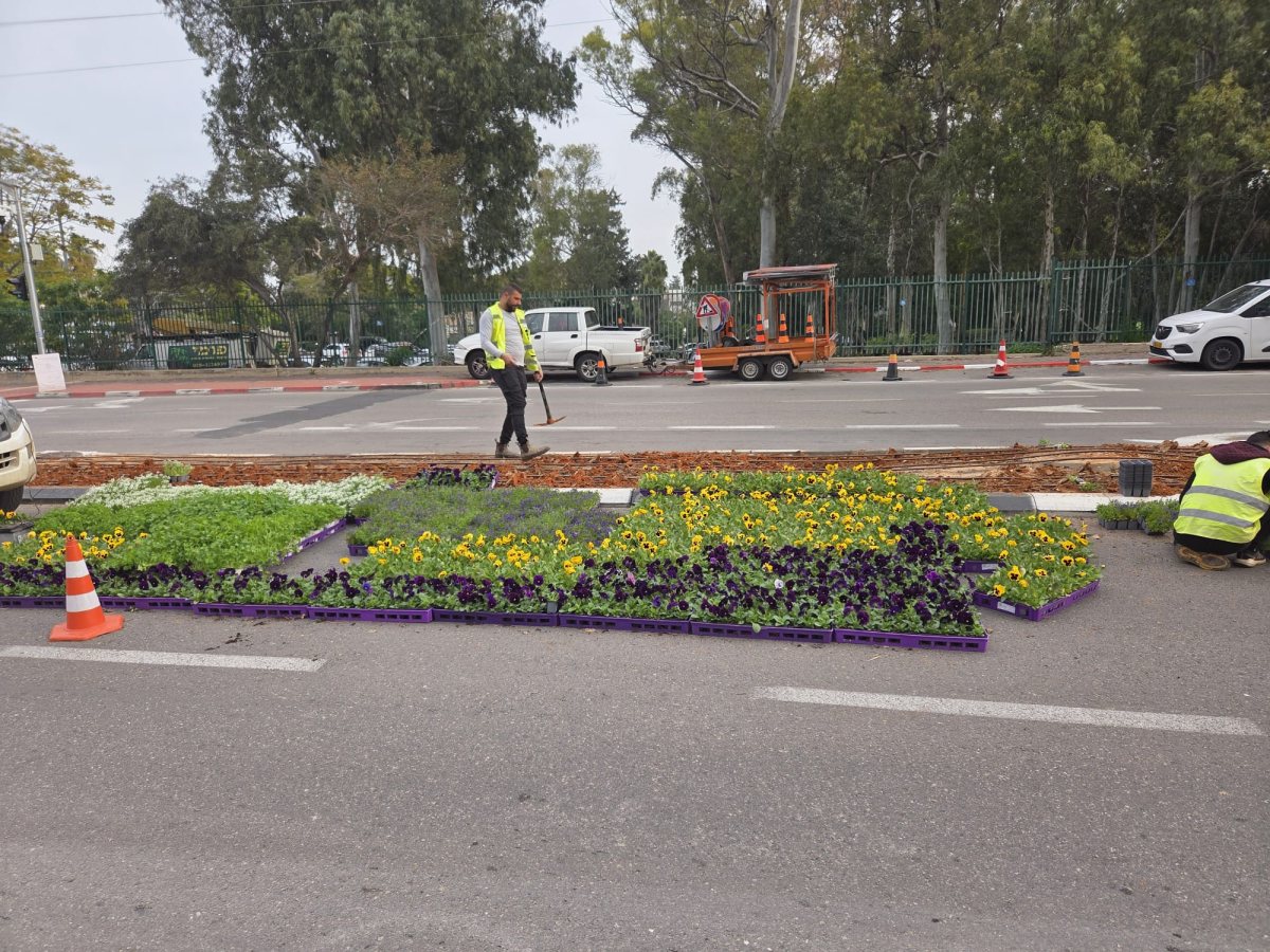 אי תנועה סרלין/ ז׳בוטינסקי ⬆️