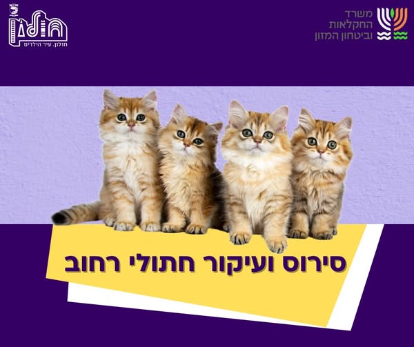 עיריית חולון