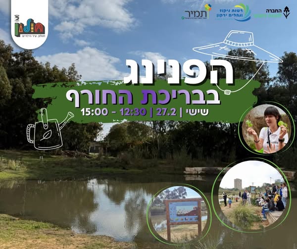 עיריית חולון