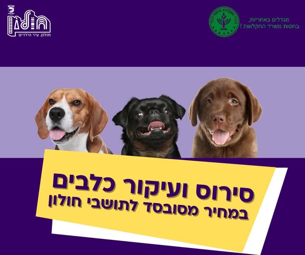 עיריית חולון
