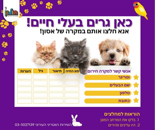 עיריית חולון