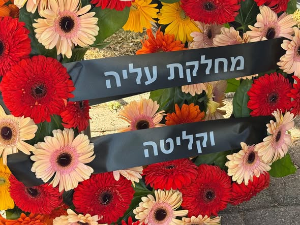 עיריית חולון