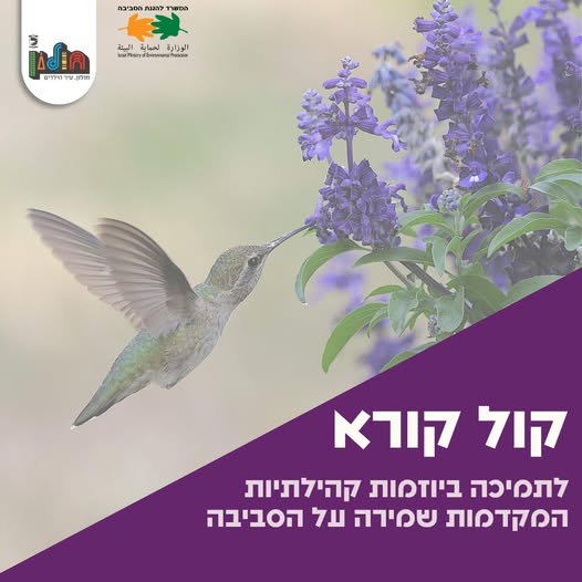 עיריית חולון
