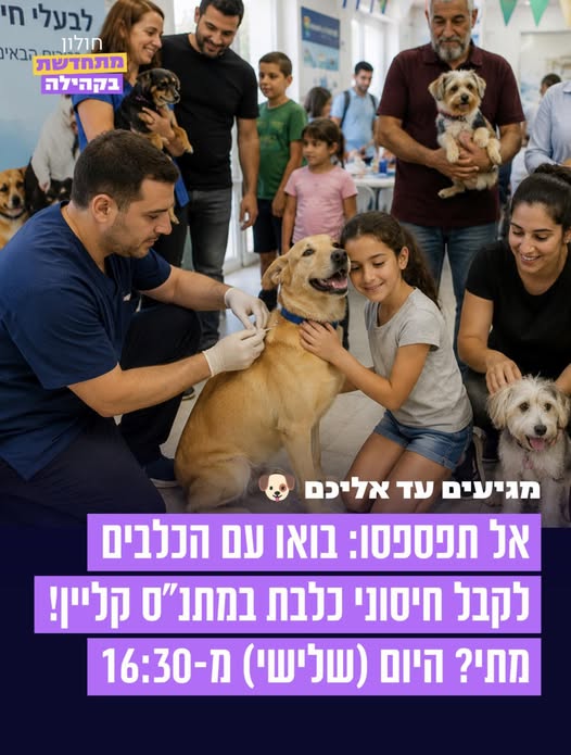 עיריית חולון