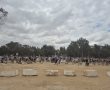הממשלה אישרה תוכנית המשך לשיקום ולליווי שורדי הטבח במסיבות נובה ופסיידאק שאירעו ב7 באוקטובר, בהיקף של כ־60 מיליון שקלים