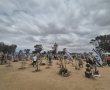 1,000 ימים לטבח המחריד: הזיכרון האזרחי והמחאה 