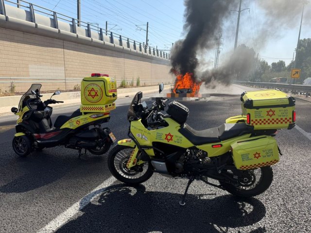 צילום: דוברות מד"א
