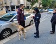 עיריית חולון