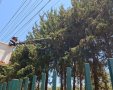 צילום: חברת החשמל