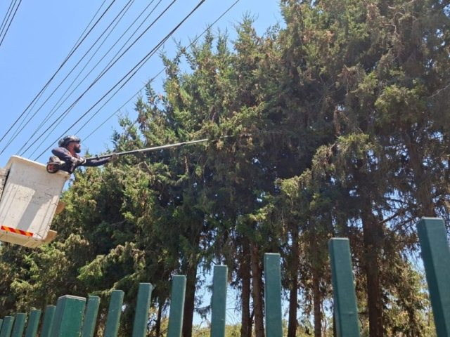 צילום: חברת החשמל
