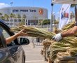 הסכך על העירייה: חלוקת סכך חינם לתושבי חולון לקראת סוכות