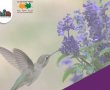 עיריית חולון מזמינה את התושבים להוביל יוזמות סביבתיות בקהילה