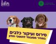 עיריית חולון